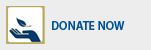 Donate to Pragmora
